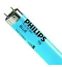 Philips MASTER TL-D 18W - Blue | 60cm