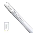 Noxion LED Tube T8 Avant Extreme (EM/Mains) Ultra Output 20.6W 3300lm - 840 Cool White | 150cm - Replaces 58W