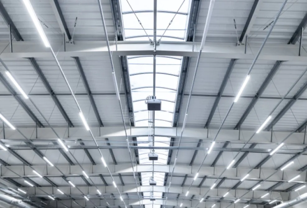 Battens on a ceiling of a storage hall